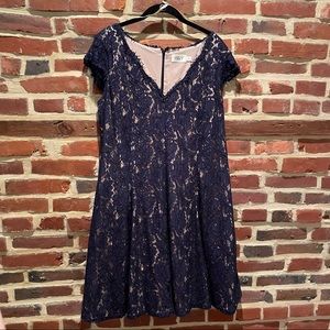 Eliza J Navy Lace V Neck Fit and Flare lined dress